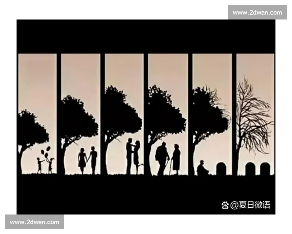 以退休后日大女儿比喻人生再出发的深层寓意探索之路径与启示